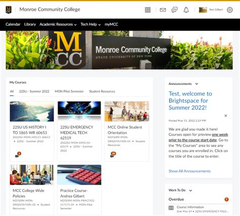 mcc student portal|Get Brightspace Help .